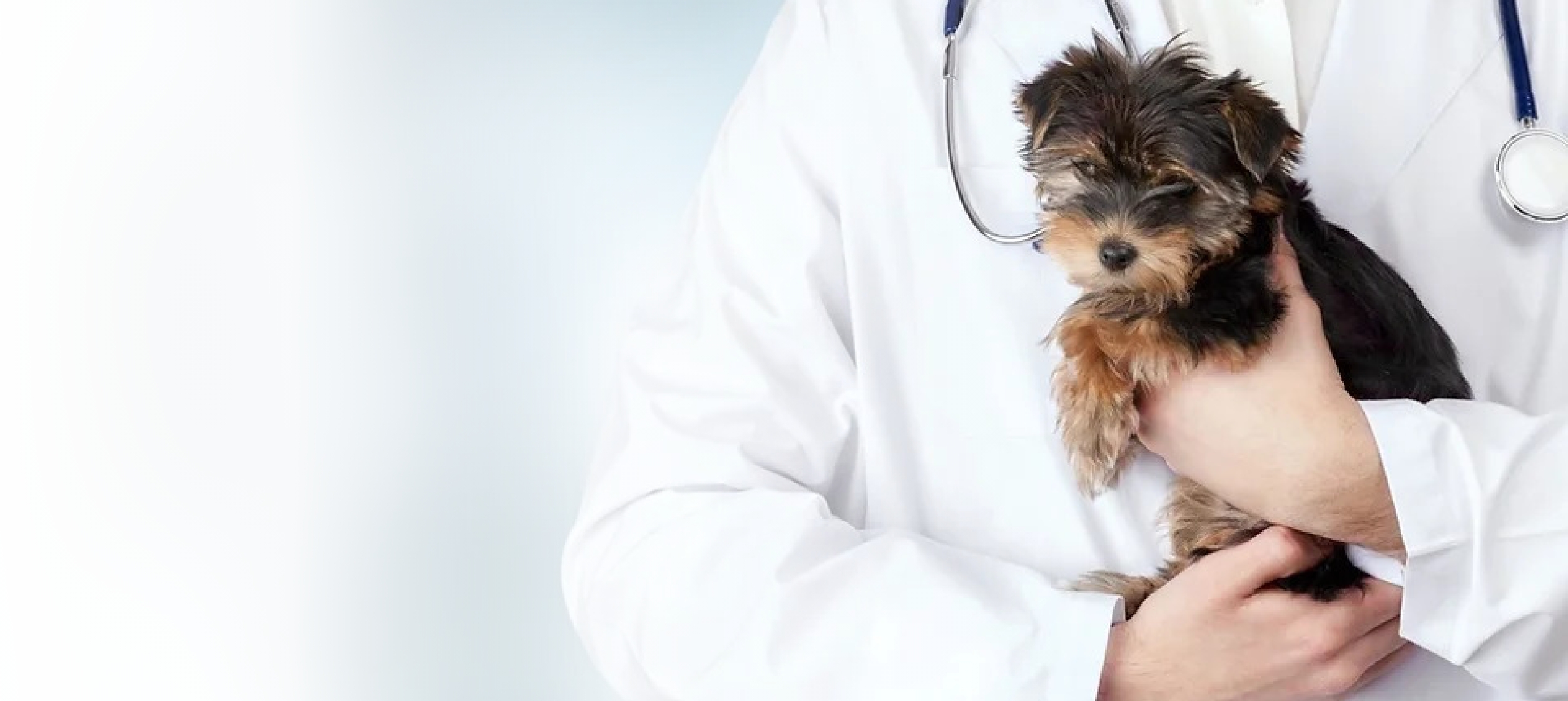 Emergency and walk-in welcome during clinic hours.